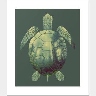 forest turtle Posters and Art